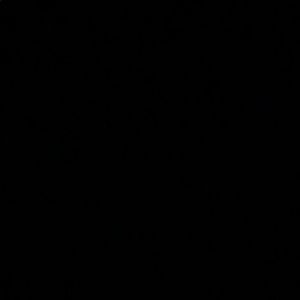 Meet your Posher, Tanner